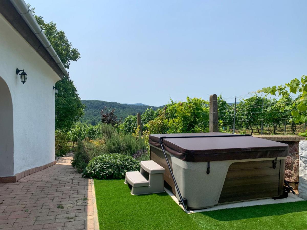 Villa Kali Panorama Birtok Mindszentkálla Exterior foto